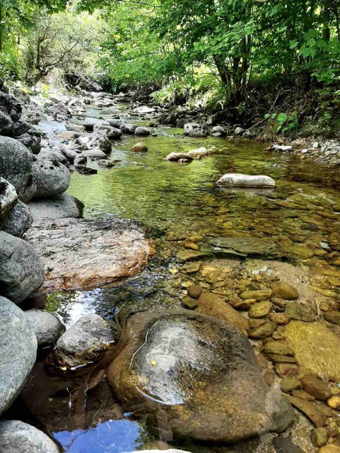 Resort Biela Skala - Chata Chopok Jasna Juh Bystrá Esterno foto
