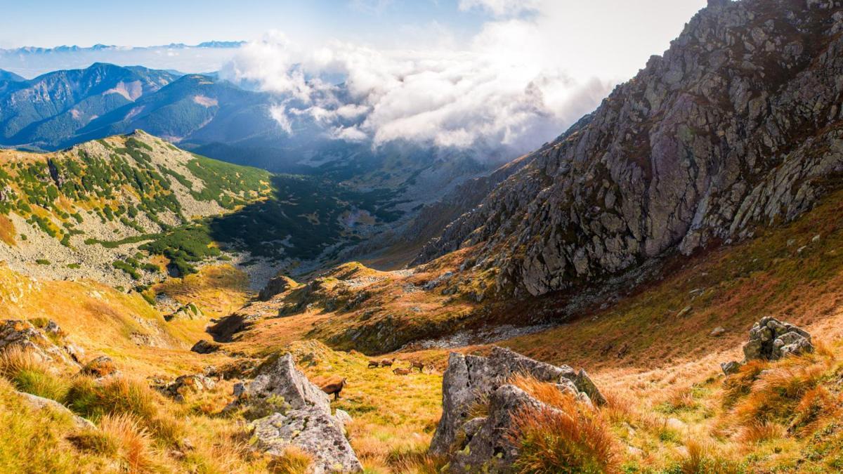 Resort Biela Skala - Chata Chopok Jasna Juh Bystrá Esterno foto